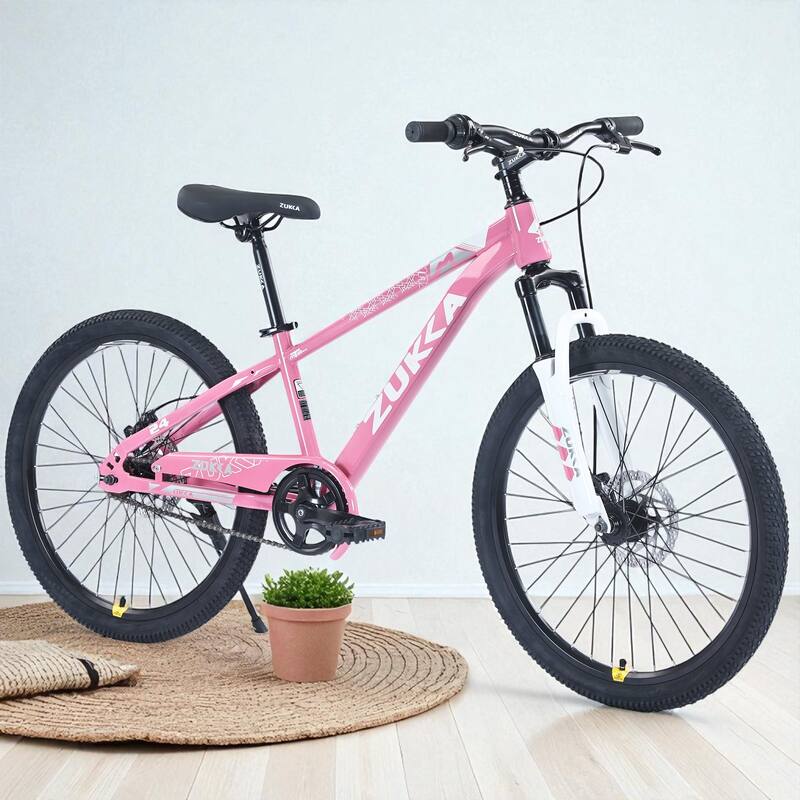 24 Inch Kids Mountain Bike for Boys & Girls Ages 9-12, Steel Frame with Suspension Fork & Dual Disc Brakes - Pink