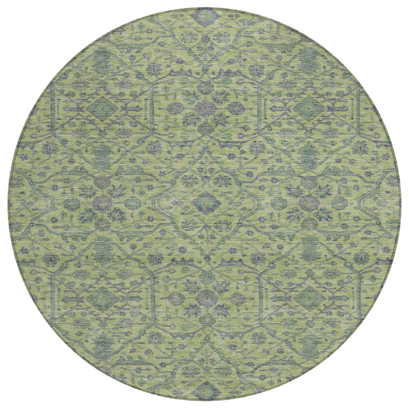 Machine Washable Indoor/ Outdoor Traditional Persian Chantille Rug