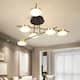Option 6 light
