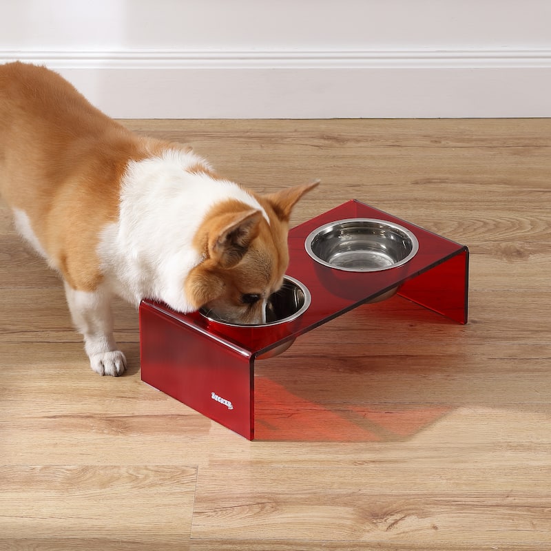 Keaton 5" Small/Medium Modern Lucite Rectangular Elevated Pet Feeder with 20oz 2-Stainless Steel Bowls