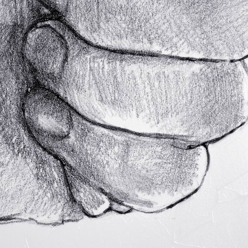 Hand Signs II (40 x 50) Canvas Art Print