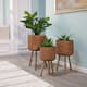 Indoor Planters and Stands