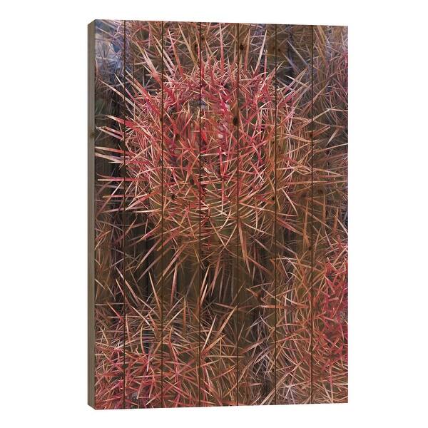 dracaena ohne stamm Dracaena lemon lime (Drachenbaum) kaufen
