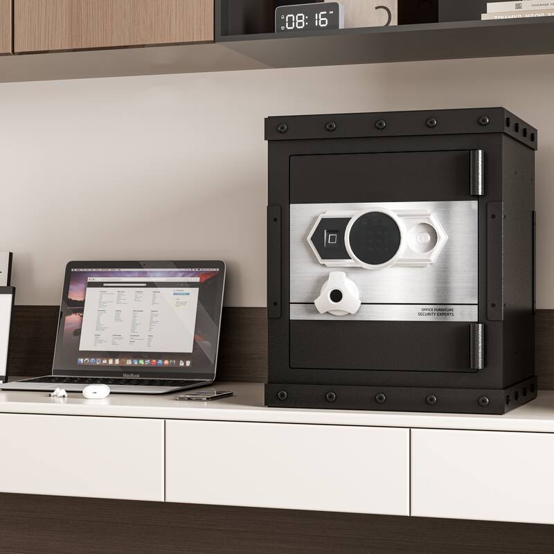 Roomfitters 20.4 Inch Biometric Security Safe with Fingerprint Lock and Hidden Compartment, Carbon Steel, Black