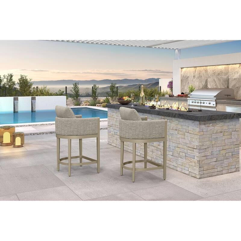 PURPLE LEAF Bar Stool Set of 2 Outdoor Rattan Bar Chair with Back Metal Bar Height Stool Wicker Barstool Dark Grey