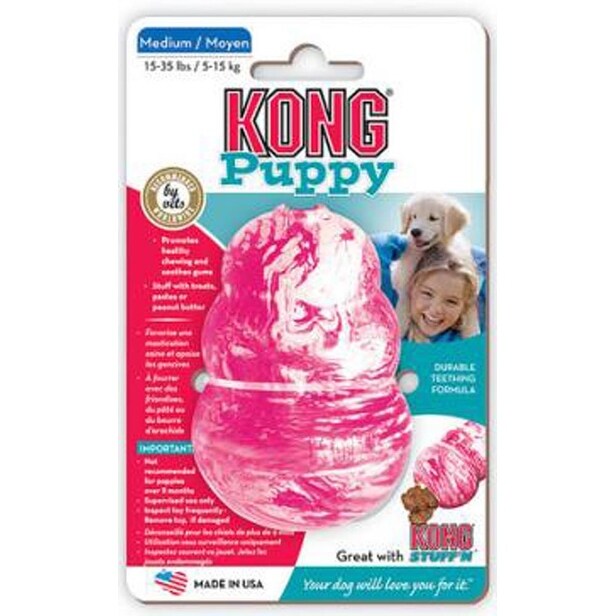 kong puppy medium