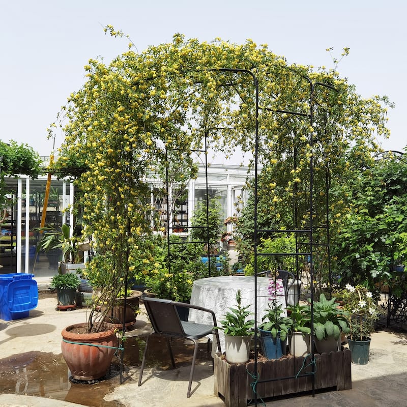 Outdoor Garden Arch Arbor For Backyard