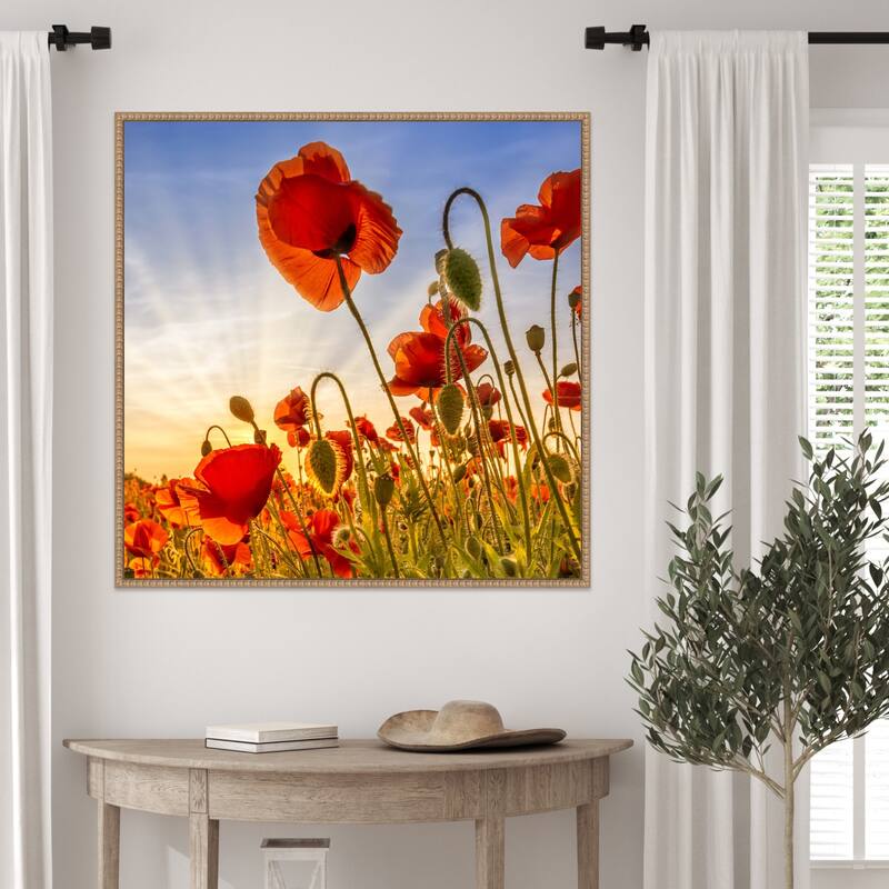Fascinating Poppies by Melanie Viola Framed Canvas Wall Art Print
