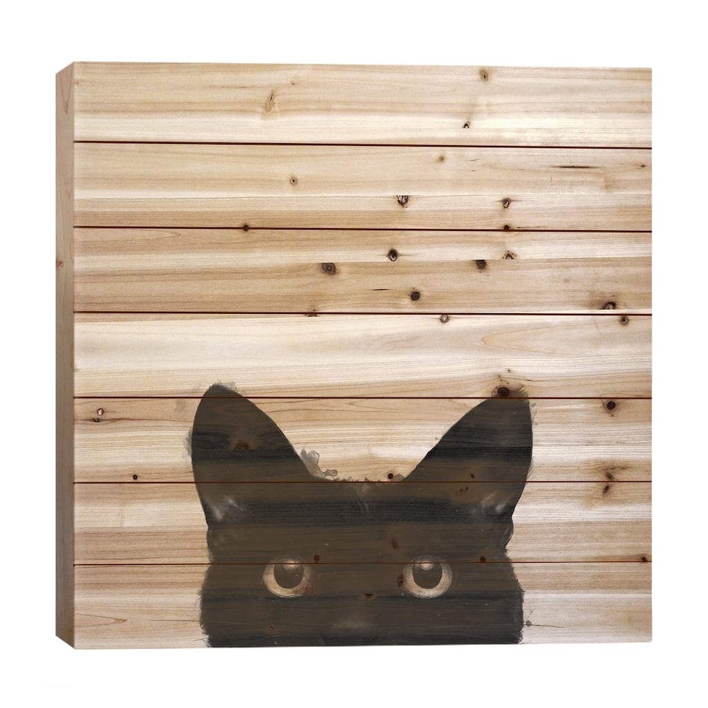 Are You Awake Yet Print On Wood by Laura Graves - Multi-Color