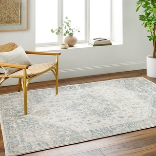 Darcy Traditional Area Rug