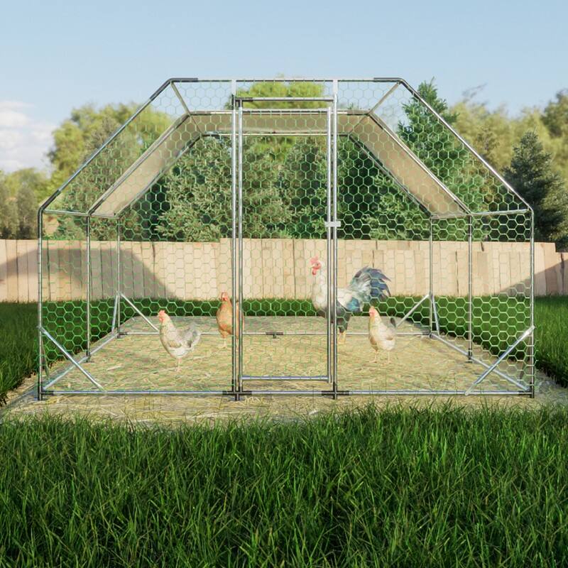 Large Walk-In Metal Chicken Coop – Flat-Shaped Poultry Cage Run with Waterproof Cover‌ - Silver