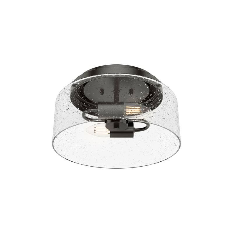 Hunter Hartland 2-Light Flush Mount Ceiling Light, Damp Rated - Bathroom, Bedroom, Hallway - Farmhouse, Industrial