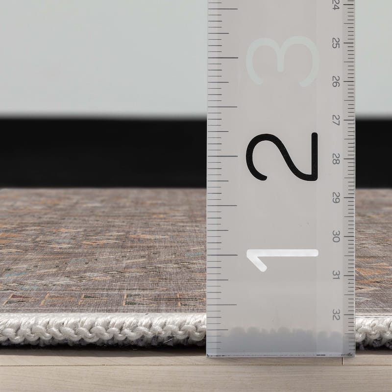 Well Woven Asha Vintage Anya Machine Washable Area Rug