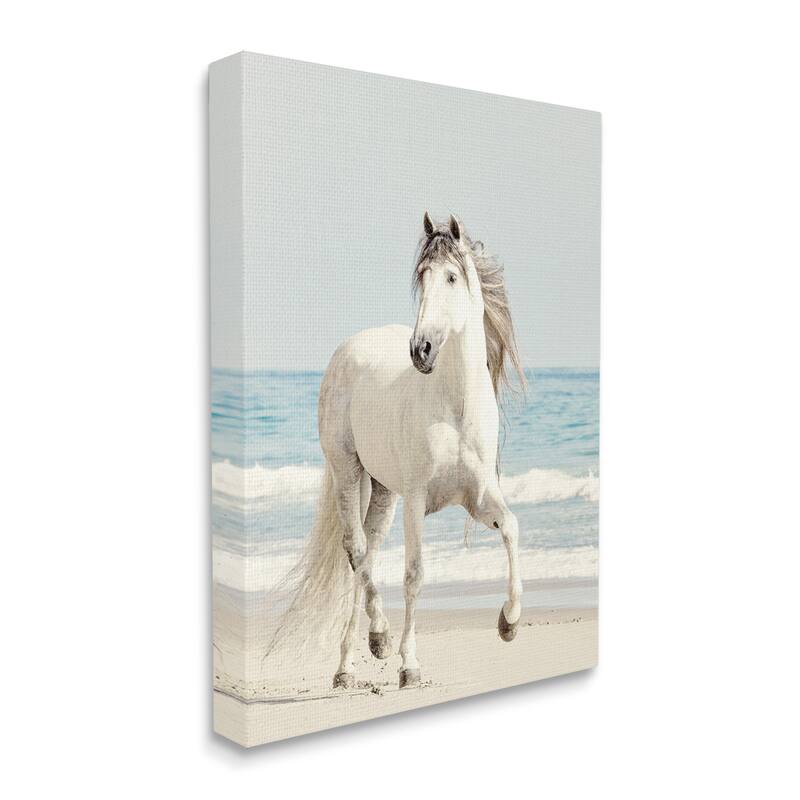 Stupell Galloping White Stallion Wild Horse Sun Bleached Coast Canvas Wall Art