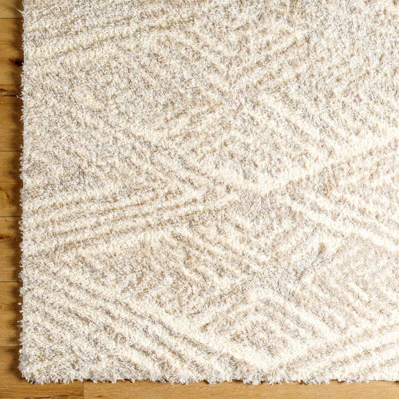 Chambers Shag Area Rug