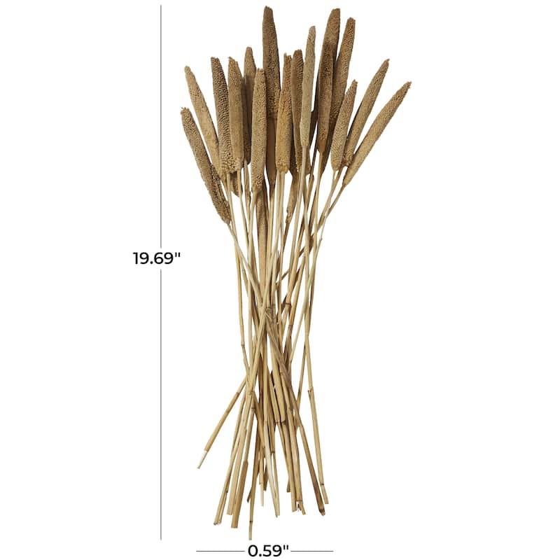 Dried Plant Bunny Tail Home Decor Natural Foliage - White, Red, Dark Brown, Orange, Green, Pink, Yellow - Roche River Decor