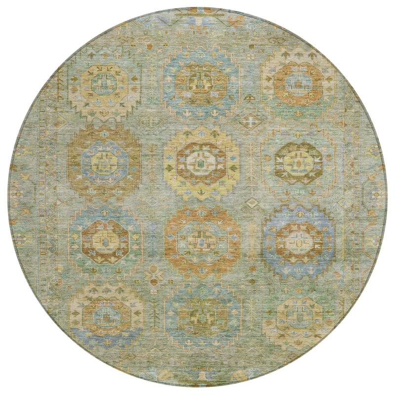 Machine Washable Indoor/ Outdoor Vintage Traditional Chantille Rug