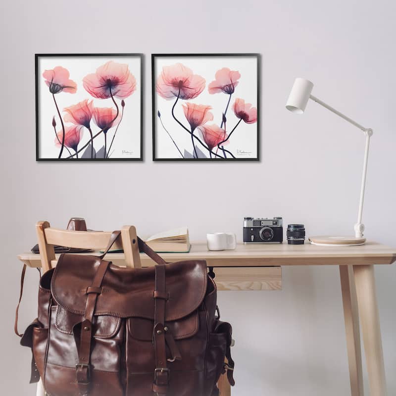 Stupell Various Faded Pink Flowers Framed Giclee Art Design By Albert Koetsier (Set of 2)