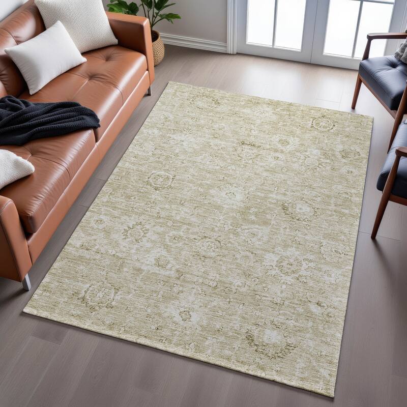 Premium Washable Super Soft Traditional Vintage Mayfield Rug