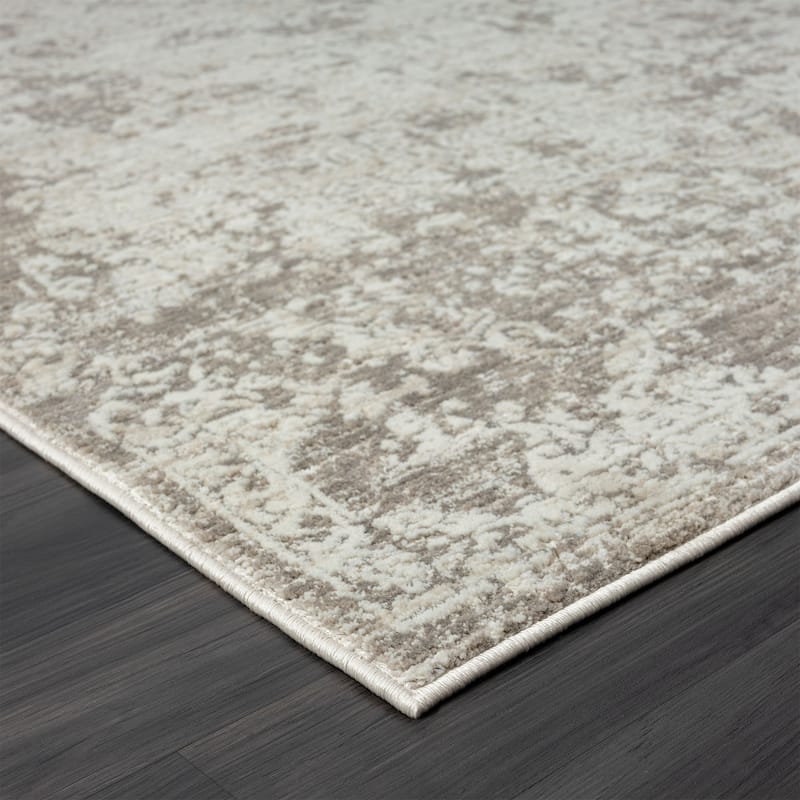 Tecu Distressed Abstract Area Rug By HomeRoots - 4' x 6'