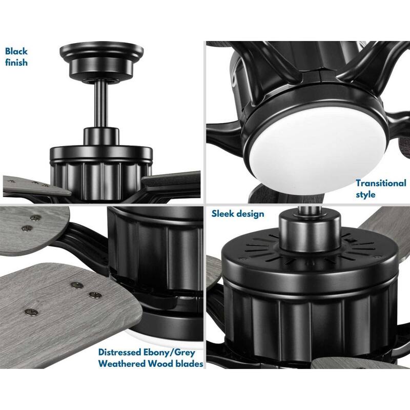 Progress Lighting Claret 54" 5 Blade LED Ceiling Fan with Remote
