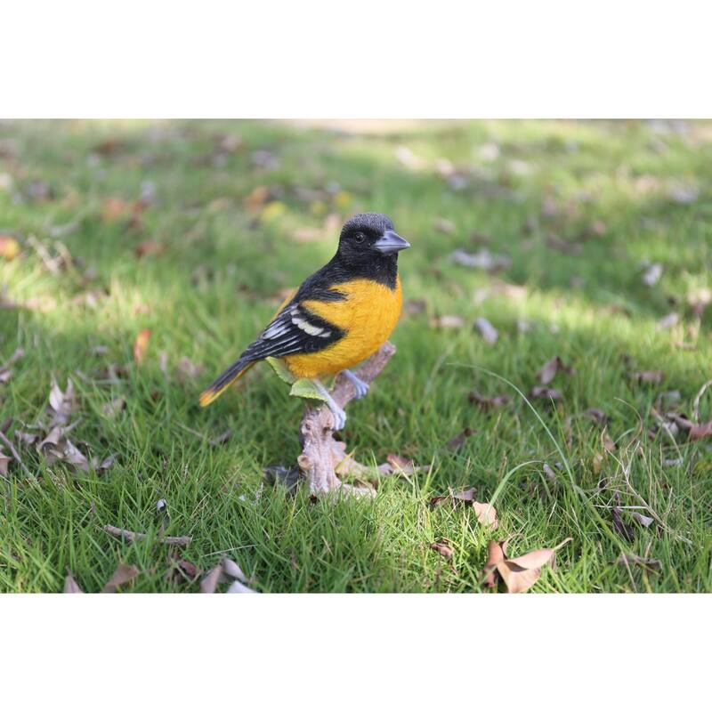7" Black and Orange Oriole On Branch Outdoor Garden Statue