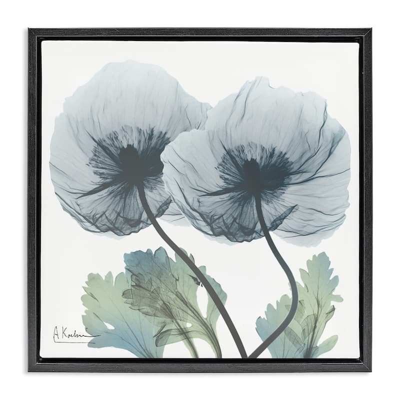Stupell Double Modern Flower Blossoms Framed Floater Canvas Wall Art Design By Albert Koetsier - 25 x 25 - Black
