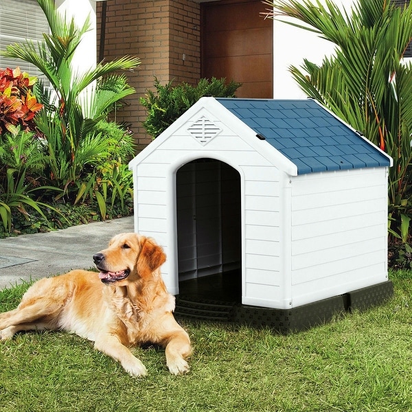 Medium sized dog hotsell houses