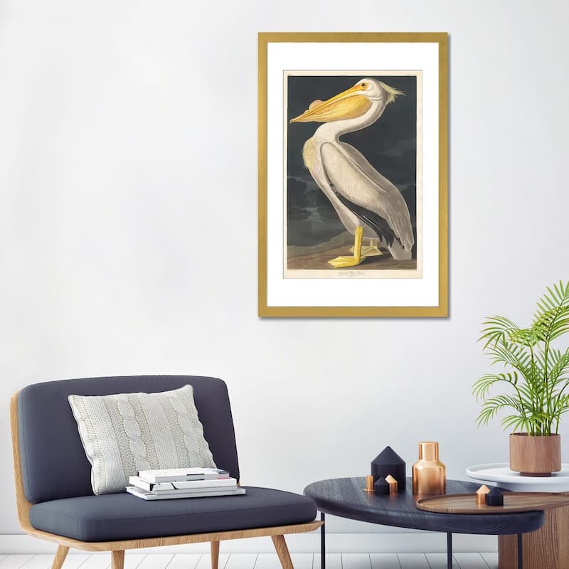 iCanvas "American White Pelican" by John James Audubon