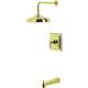 Option Polished Brass