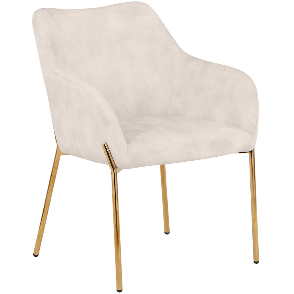 Zaire Upholstered Dining Chair in Velvet/Leather/Boucle with Gold Chrome Iron