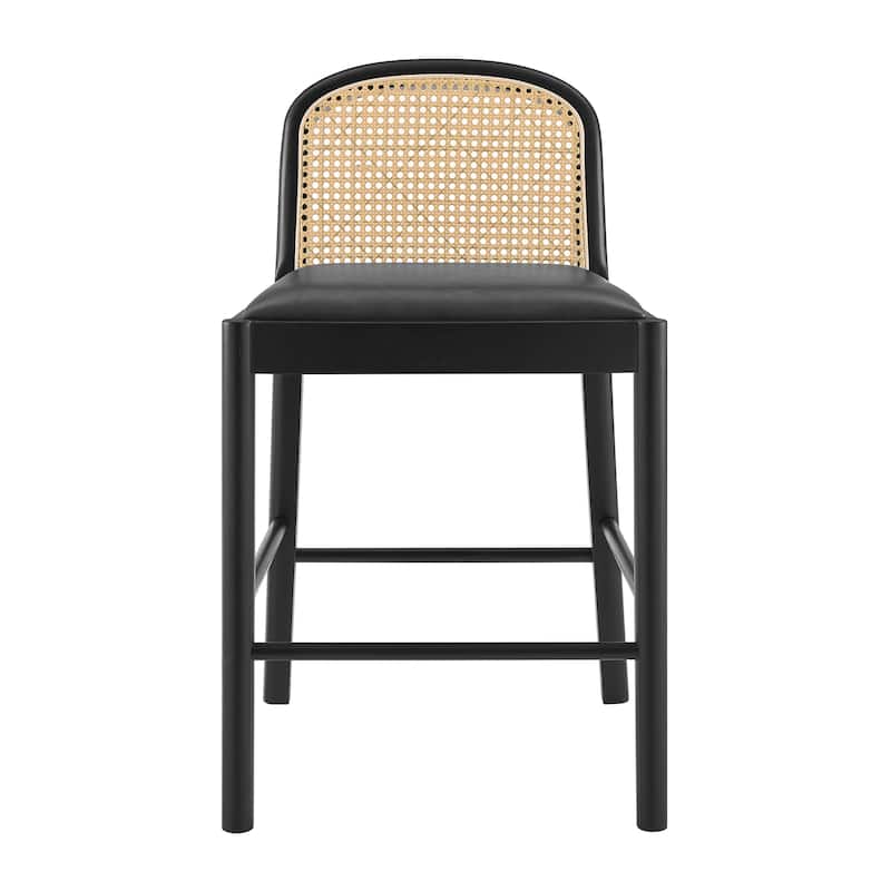 NPD Furniture Donna Faux Leather Rattan Counter Stool (Set of 2)