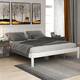 Option White