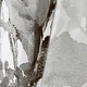 preview thumbnail 15 of 14, The Curated Nomad Luminet Flora Shower Curtain
