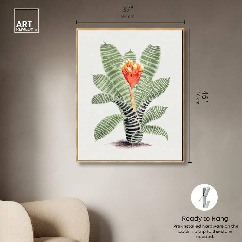 Tillandsia Musaica Plant Canvas by Art Remedy