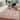 Elva Indoor/ Outdoor Oriental Area Rug