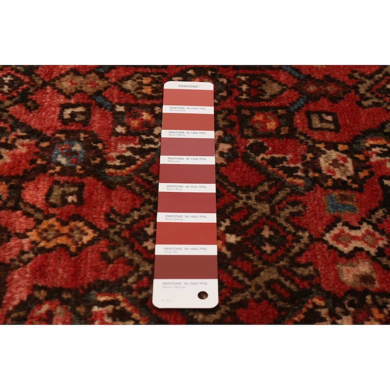 Andelz Red Rug 3'5" x 10'0" - 3'5 x 10'0