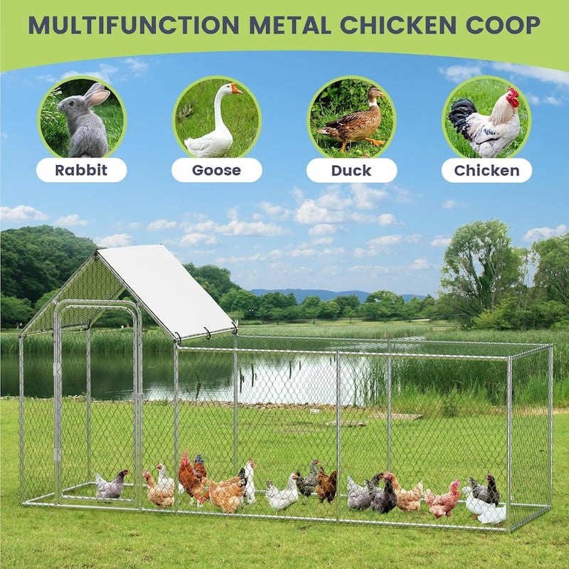 Large Metal Chicken Coop 10x3.3x5FT Outdoor Heavy Duty Walk-in Poultry Cage