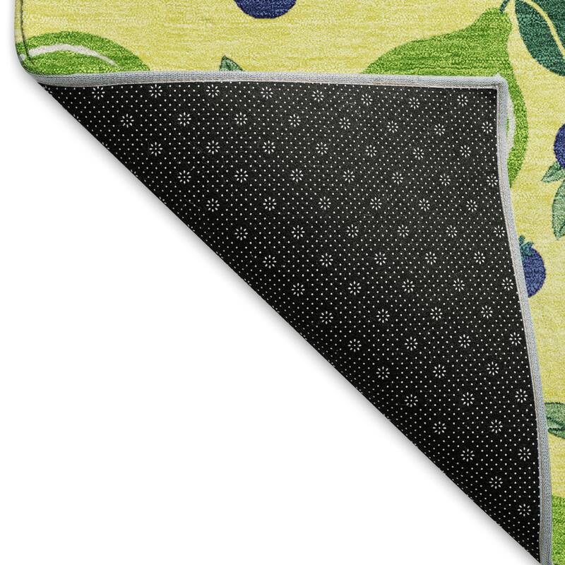 Machine Washable Indoor/ Outdoor Citrus Berry Chantille Rug