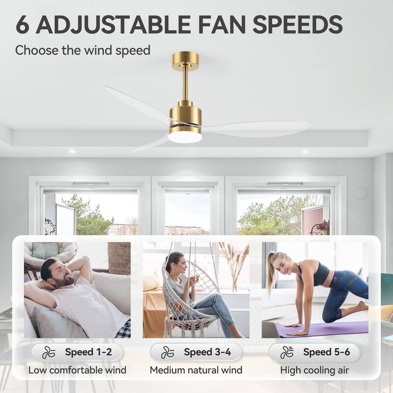 52 Inch LED Ceiling Fan with Lights Remote(3-Blade)