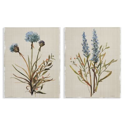 Stupell Natural Budding Blooms Canvas Wall Art Design By Carol Robinson (Set of 2)