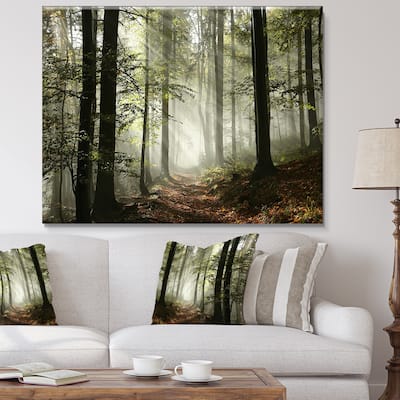 Designart "Light in Dense Fall Forest with Fog" Landscape Canvas Art Print