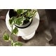 preview thumbnail 7 of 37, Kate and Laurel Moxley Round Wood Accent Table