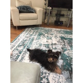 Unique Loom Salle Garnier Sofia Rug