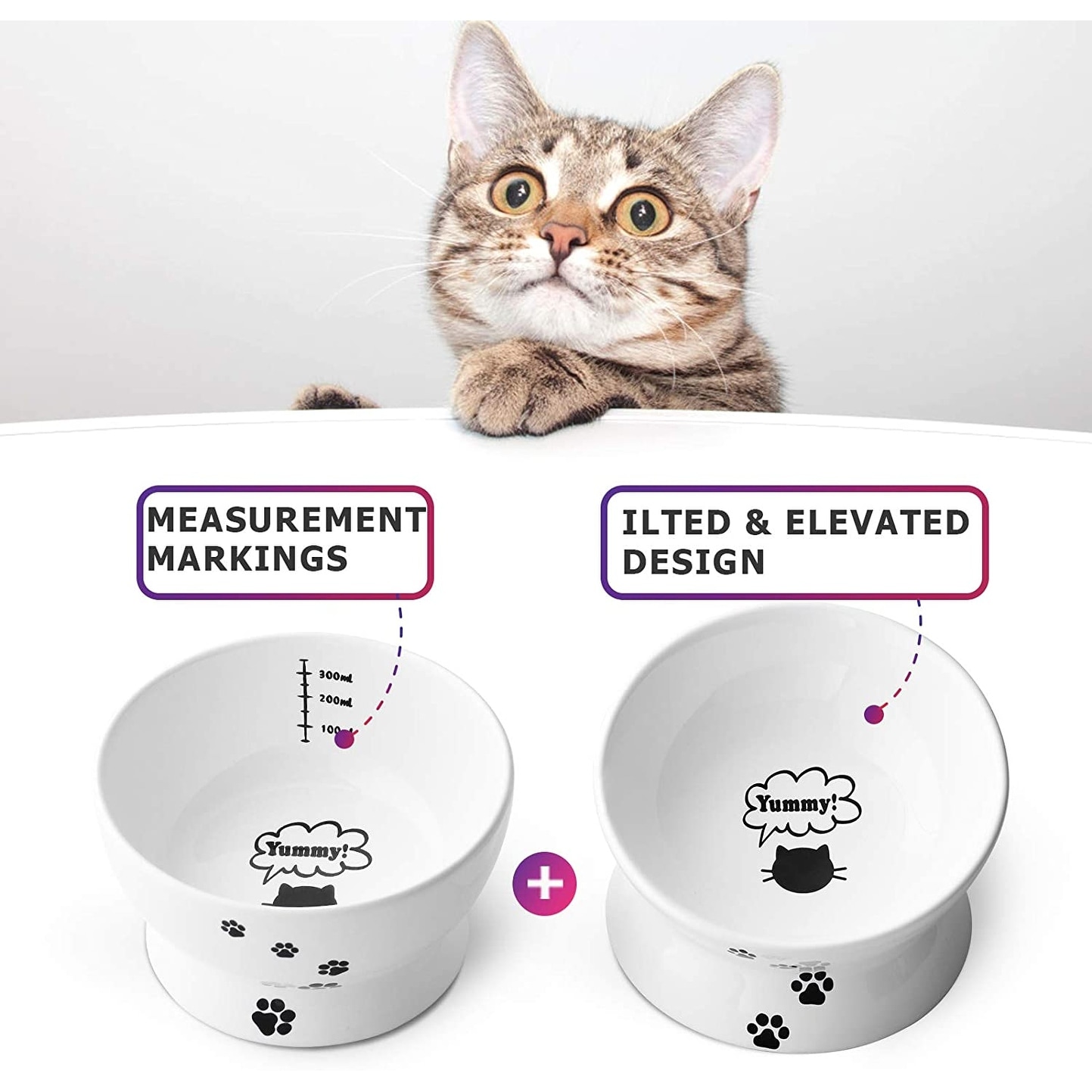 Y YHY Raised Cat and Small Dog Food Bowls Set, 12 oz - Bed Bath & Beyond -  34030268