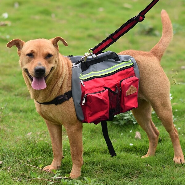 dog leash holder for outside