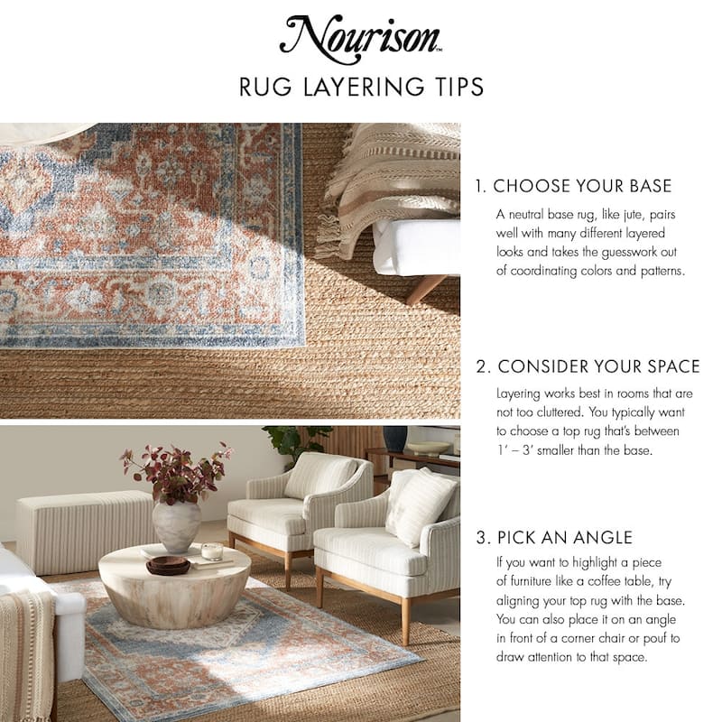 Nourison Concerto Classic Persian Medallion Area Rug.