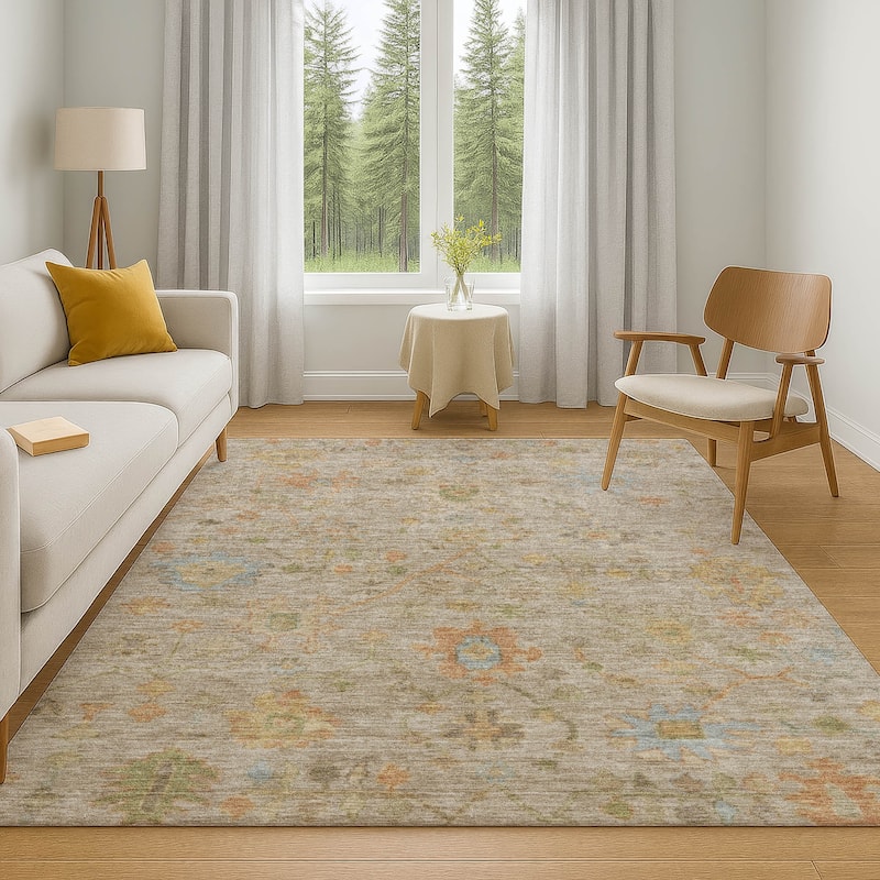Premium Washable Super Soft Farmhouse Traditional Mayfield Rug