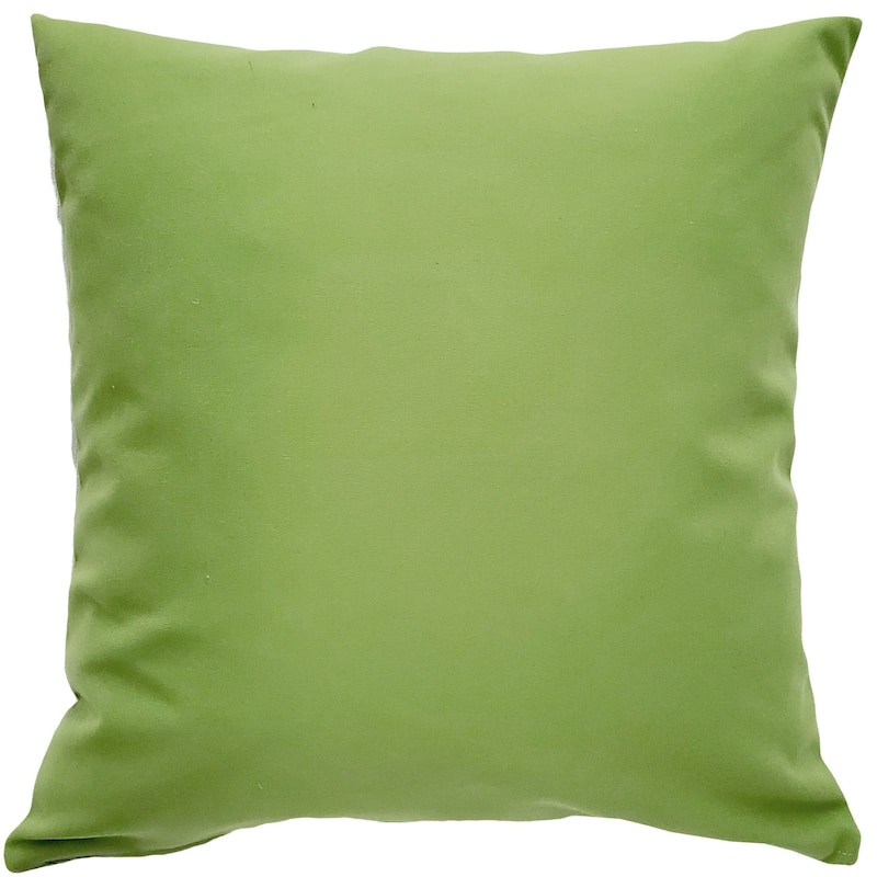 Sunbrella Ginko Green Throw Pillow - 20" x 20"