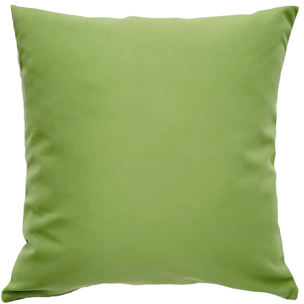 Sunbrella Ginko Green Throw Pillow